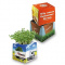 Blumenkasten (6x6x6 cm) - Topgiving